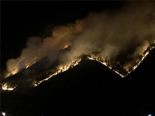 국립산림과학원은 1월 산불 발생 위험성이 커지고 있다는 분석결과를 내놨다.  국립산림과학원 제공